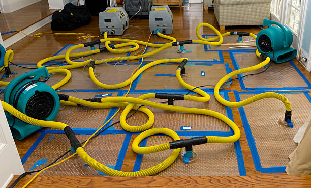 Professional Storm Water Damage Restoration technician working in Madera, CA